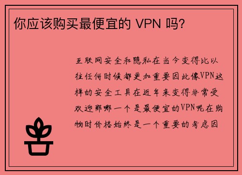 你应该购买最便宜的 VPN 吗？