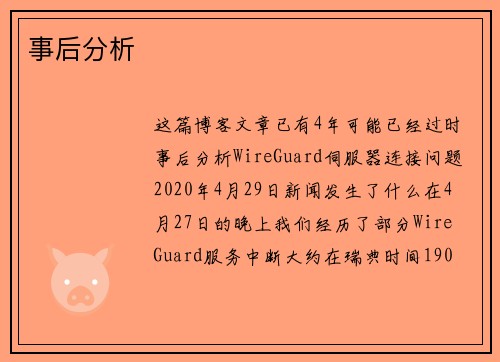 事后分析 