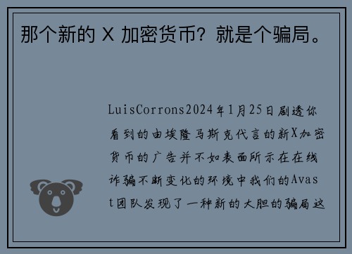 那个新的 X 加密货币？就是个骗局。