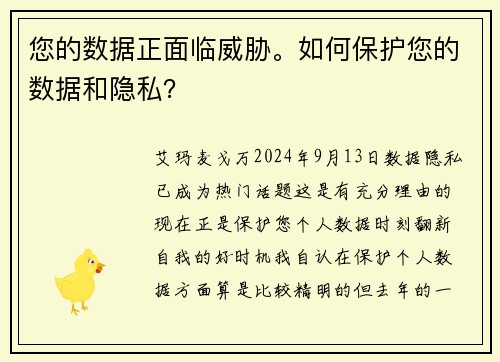 您的数据正面临威胁。如何保护您的数据和隐私？